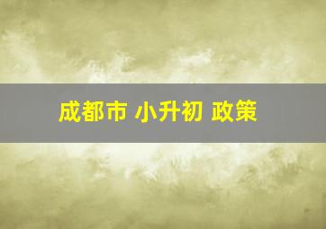 成都市 小升初 政策